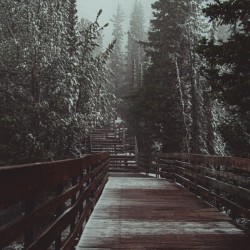 Snow on Sulfur Path Hi Res   A3